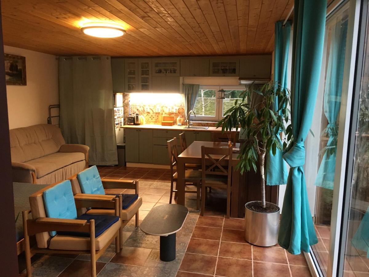 Na Vyhlidce Apartment Vrane nad Vltavou Ngoại thất bức ảnh